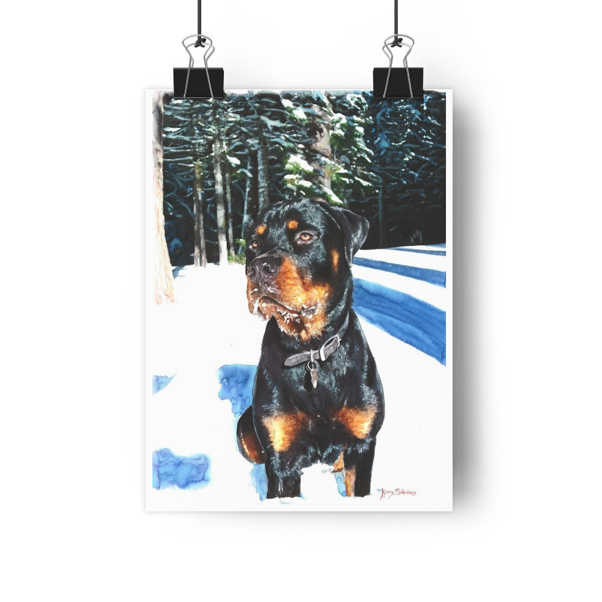 "Rottweiler In The Snow" Archival Poster Print (5 Sizes) - Kerry Siderius Art