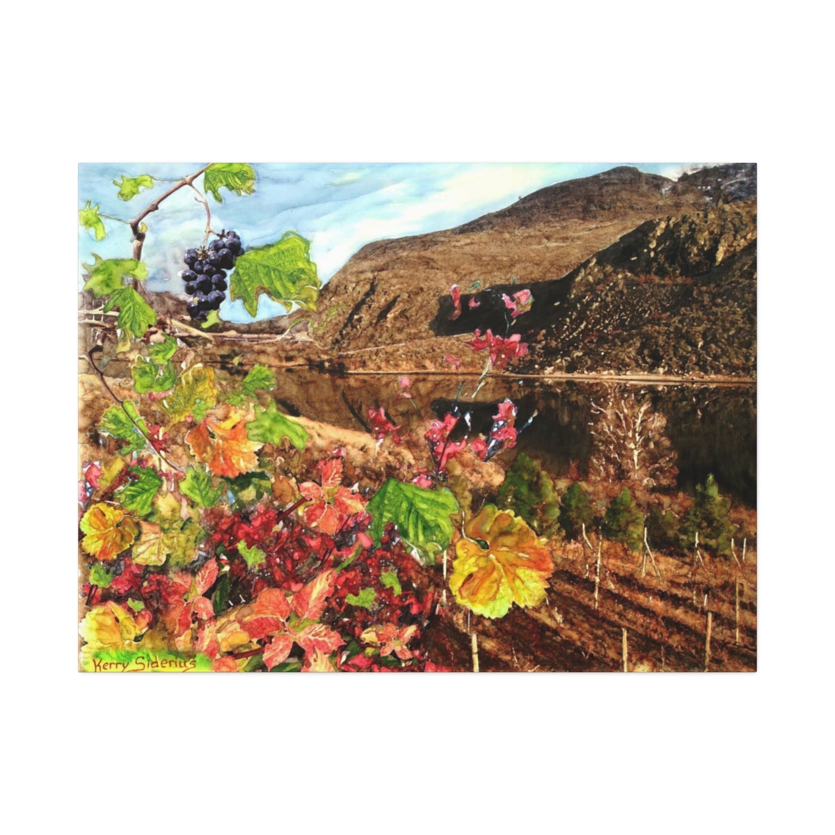 "Last Cluster of Grapes with Columbia Reflection" Canvas Stretched, 1.5'' - Kerry Siderius Art