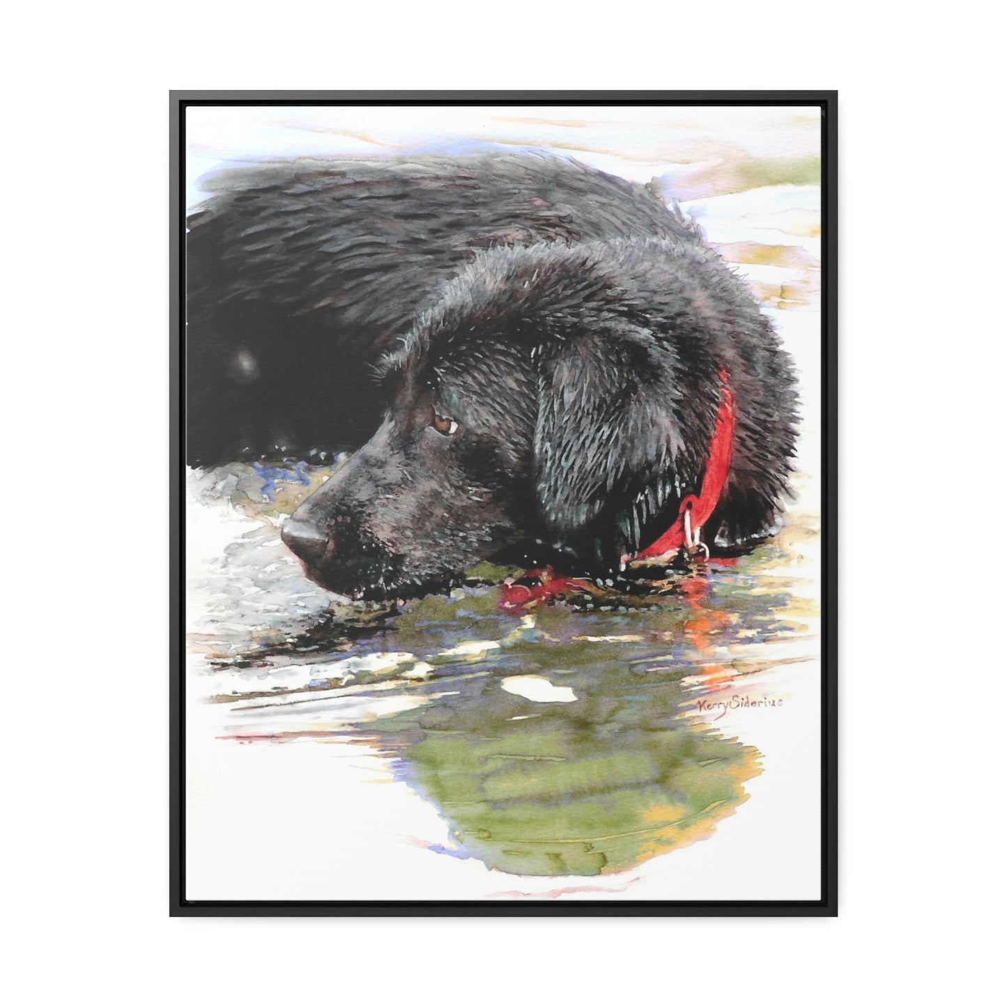 "Fishing and Fetching Black Lab, Chelan" Framed Gallery Wrapped Canvas - Kerry Siderius Art