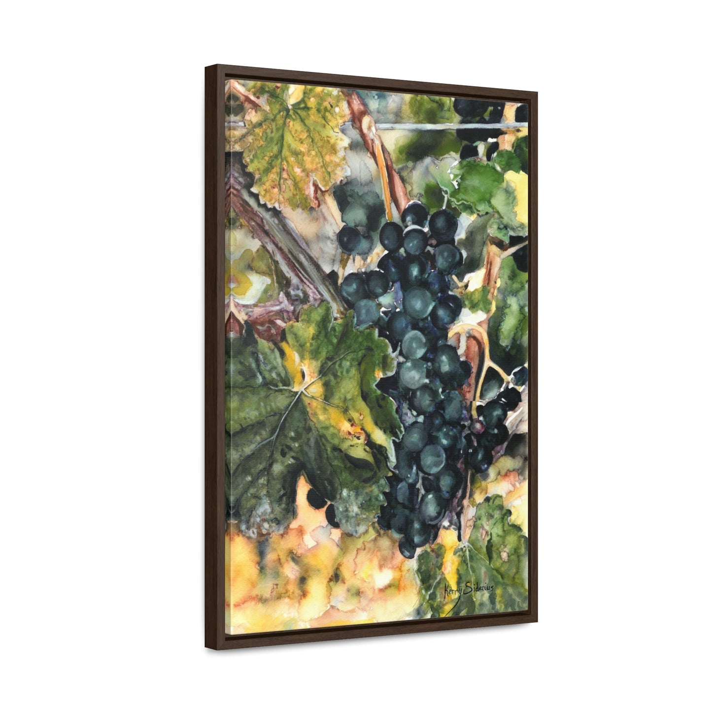 "Merlot Grapes in Manson" Gallery Wrapped Wood Framed Canvas - Kerry Siderius Art