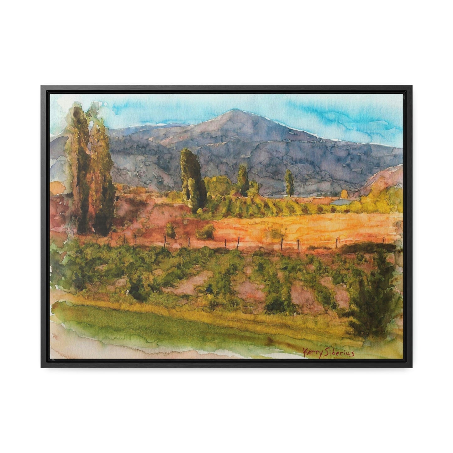 "Vineyard Near Chelan Falls" Gallery Wrapped Wood Framed Canvas - Kerry Siderius Art