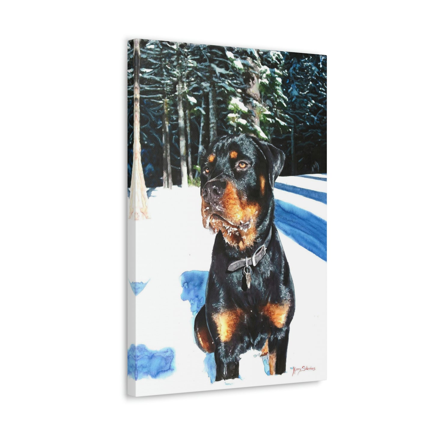 "Rottweiler in the Snow" Gallery Wrapped Canvas - Kerry Siderius Art