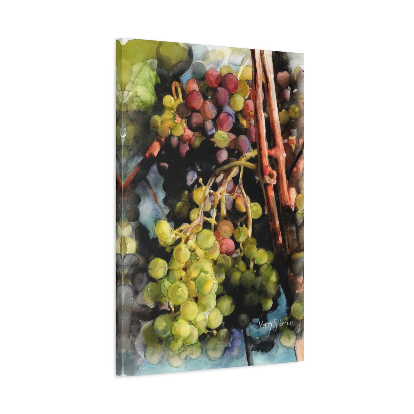 "Wine Grapes Getting Some Color" Matte Canvas, Stretched, 1.25" - Kerry Siderius Art