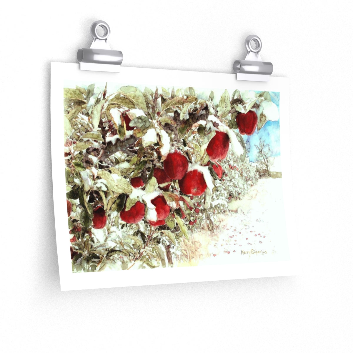 "Apples in the Snow" Poster Print Archival Paper - Kerry Siderius Art
