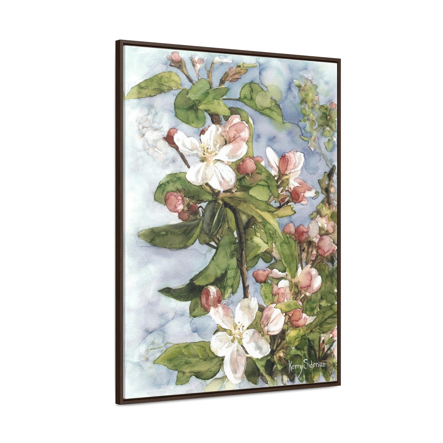 "Wenatchee Apple Blossoms" Gallery Wrapped Wood Framed Canvas (Walnut & Black) - Kerry Siderius Art