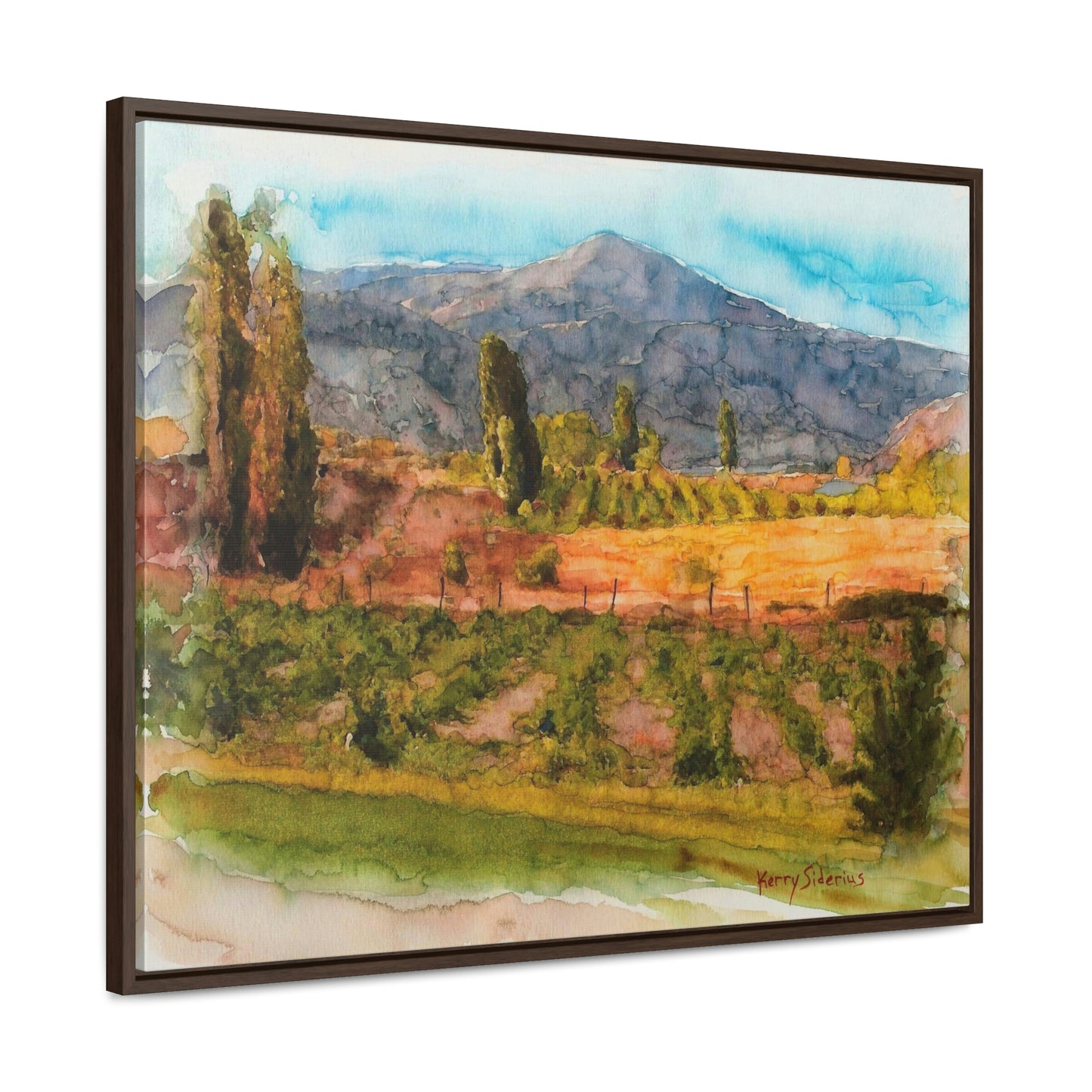 "Vineyard Near Chelan Falls" Gallery Wrapped Wood Framed Canvas - Kerry Siderius Art
