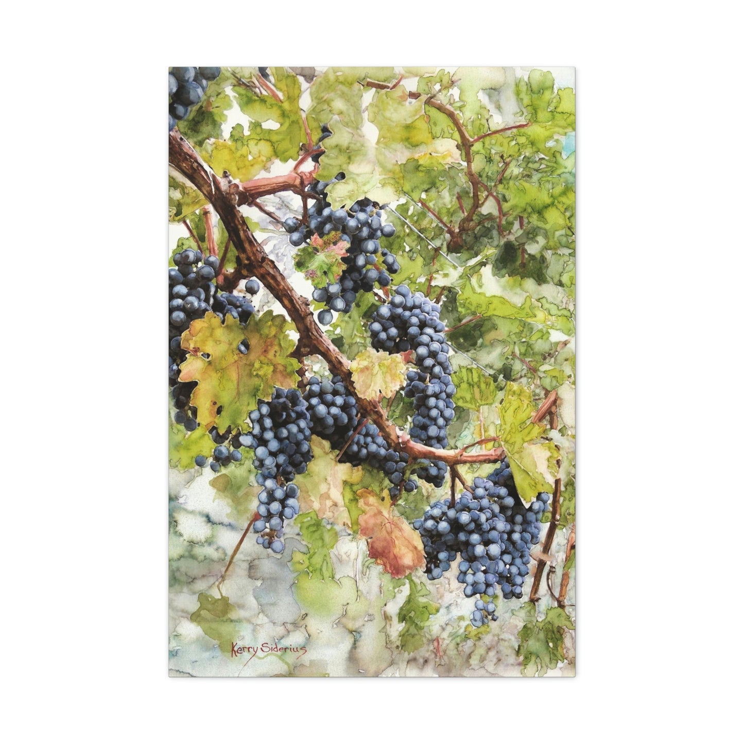 "Walking Through The Vines" Gallery Wrapped Canvas - Kerry Siderius Art
