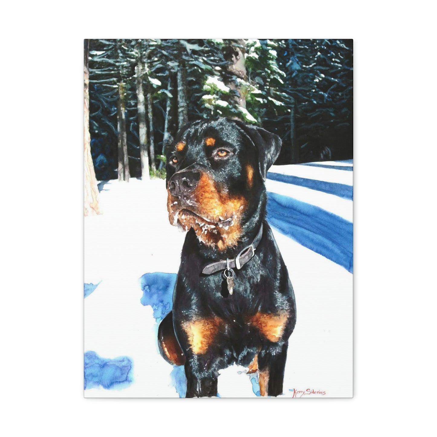 "Rottweiler in the Snow" Gallery Wrapped Canvas - Kerry Siderius Art