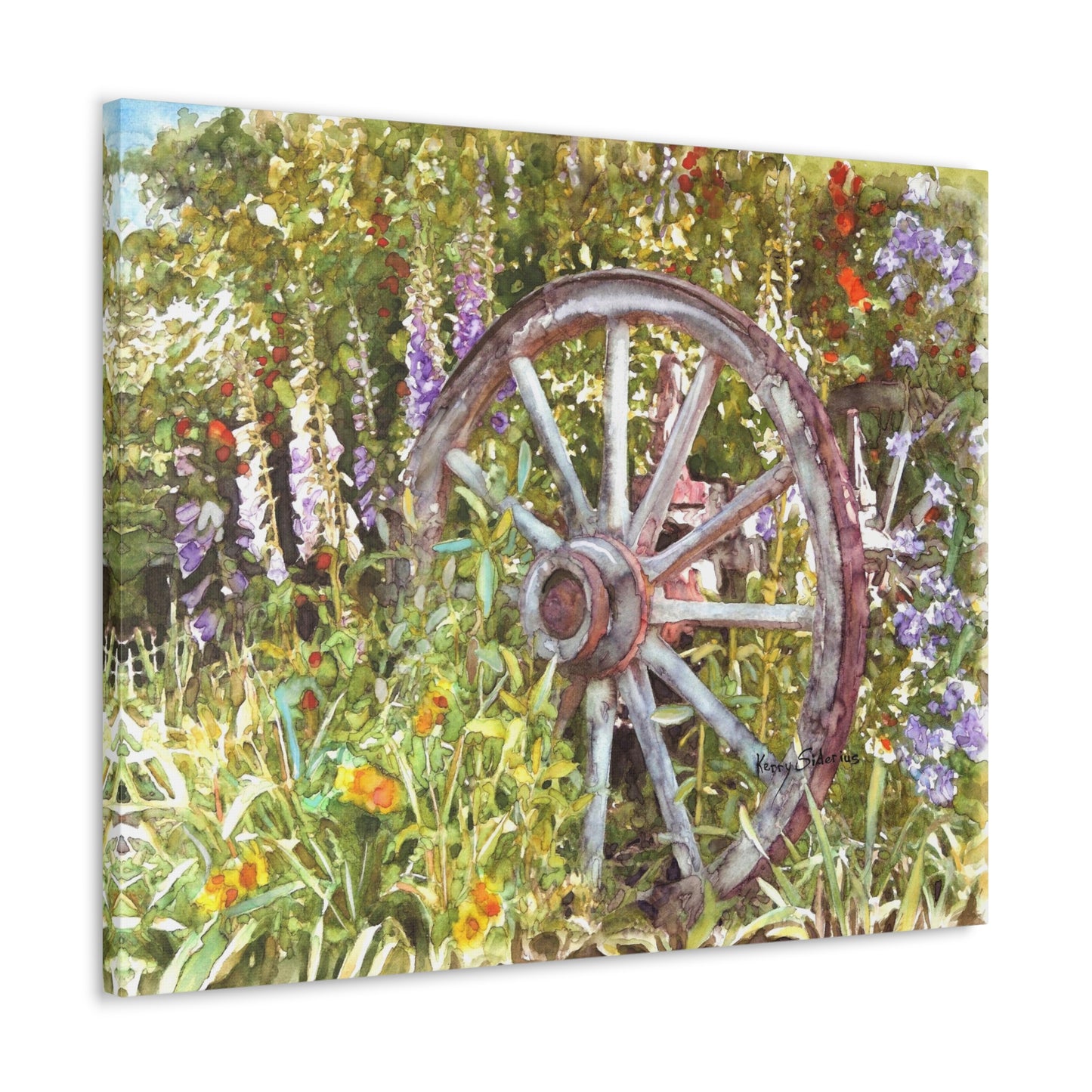 "Wagon Wheel" Gallery Wrapped Canvas - Kerry Siderius Art