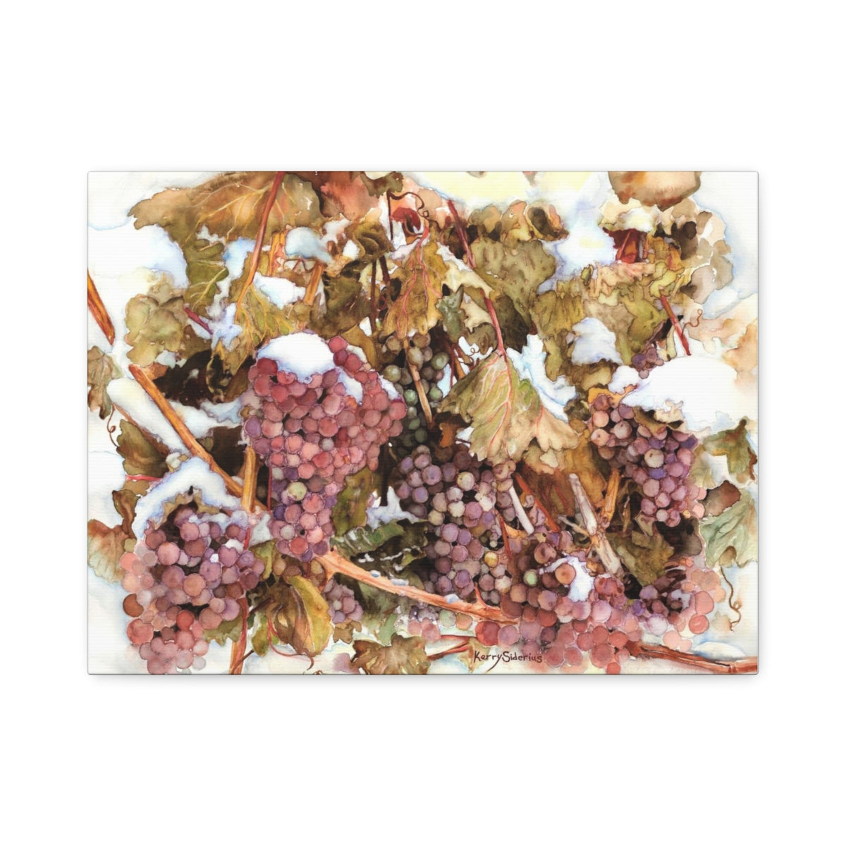 "Snowy Grapes in Chelan" Canvas (6 Sizes Available) - Kerry Siderius Art