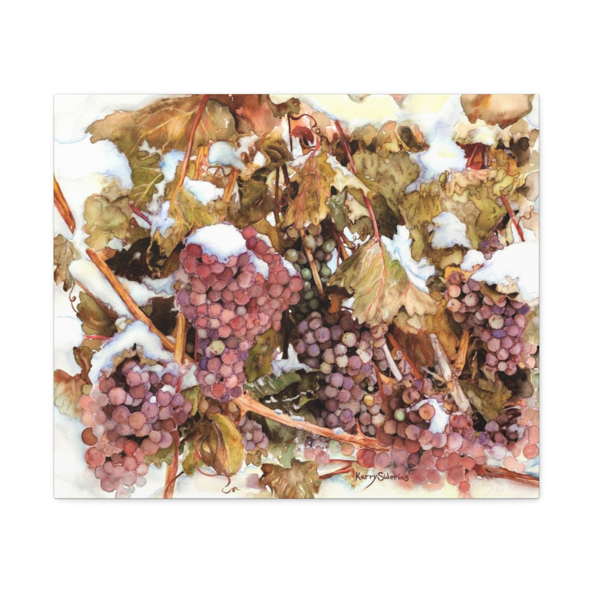 "Snowy Grapes in Chelan" Canvas (6 Sizes Available) - Kerry Siderius Art