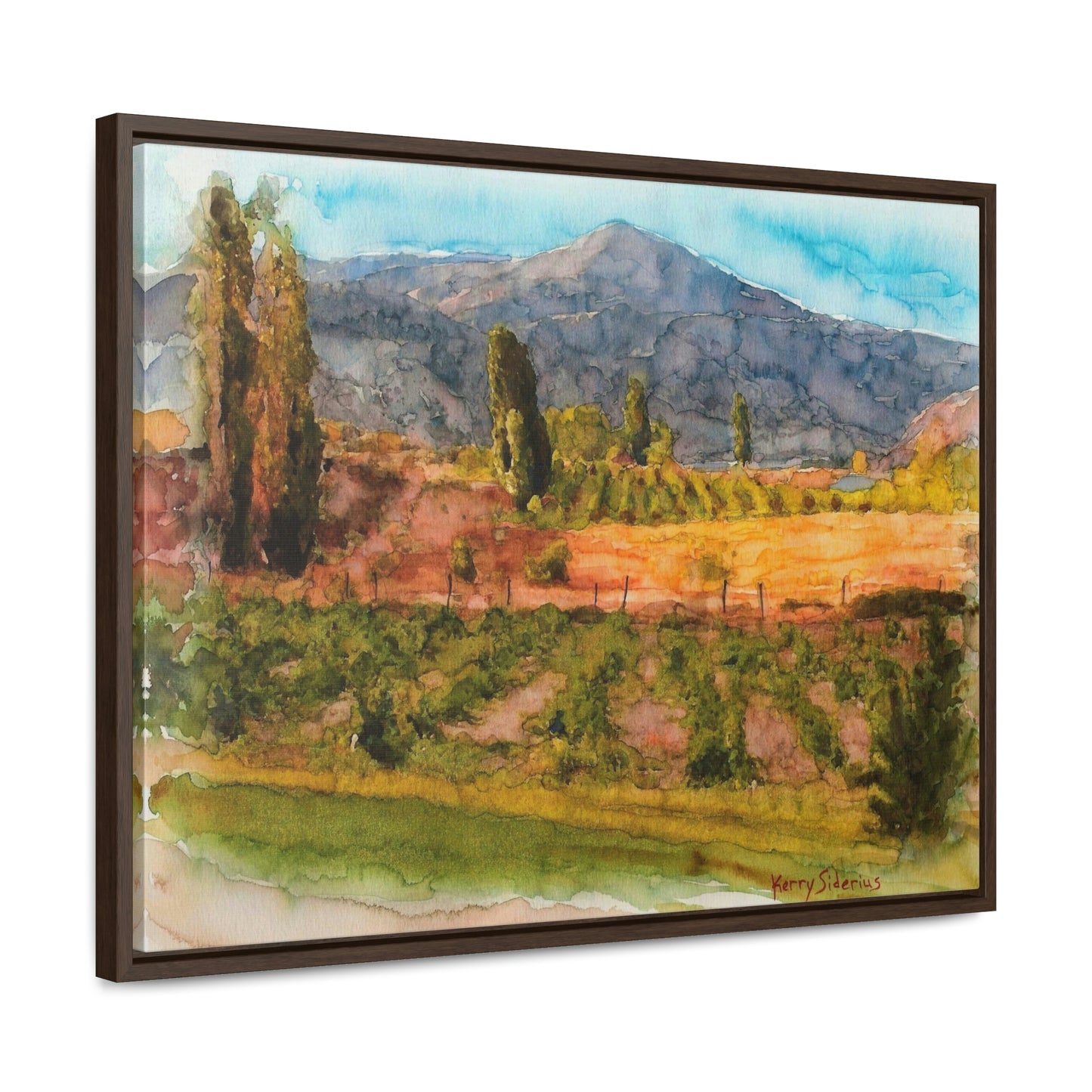 "Vineyard Near Chelan Falls" Gallery Wrapped Wood Framed Canvas - Kerry Siderius Art