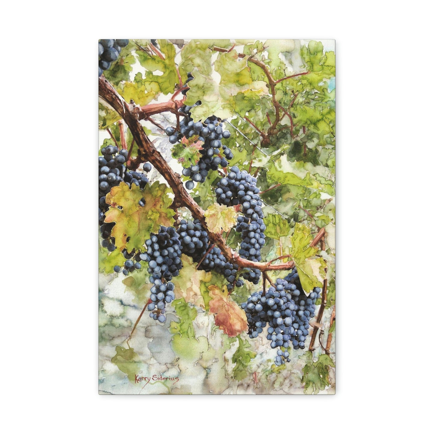 "Walking Through The Vines" Gallery Wrapped Canvas - Kerry Siderius Art