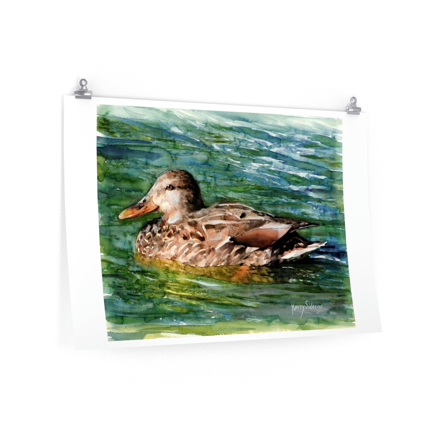 "Mama Duck on Lake Chelan" Premium Matte Print - Kerry Siderius Art