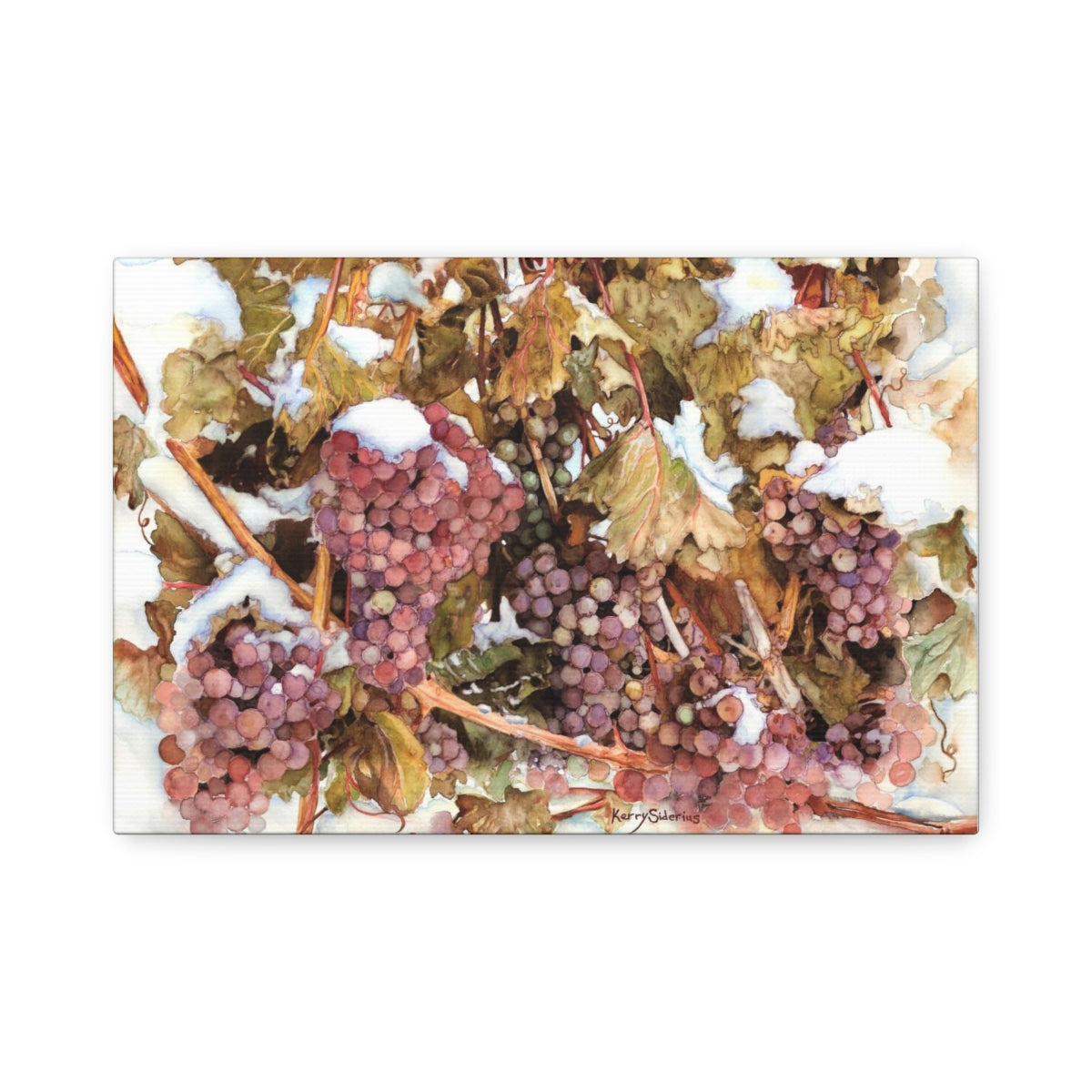 "Snowy Grapes in Chelan" Canvas (6 Sizes Available) - Kerry Siderius Art