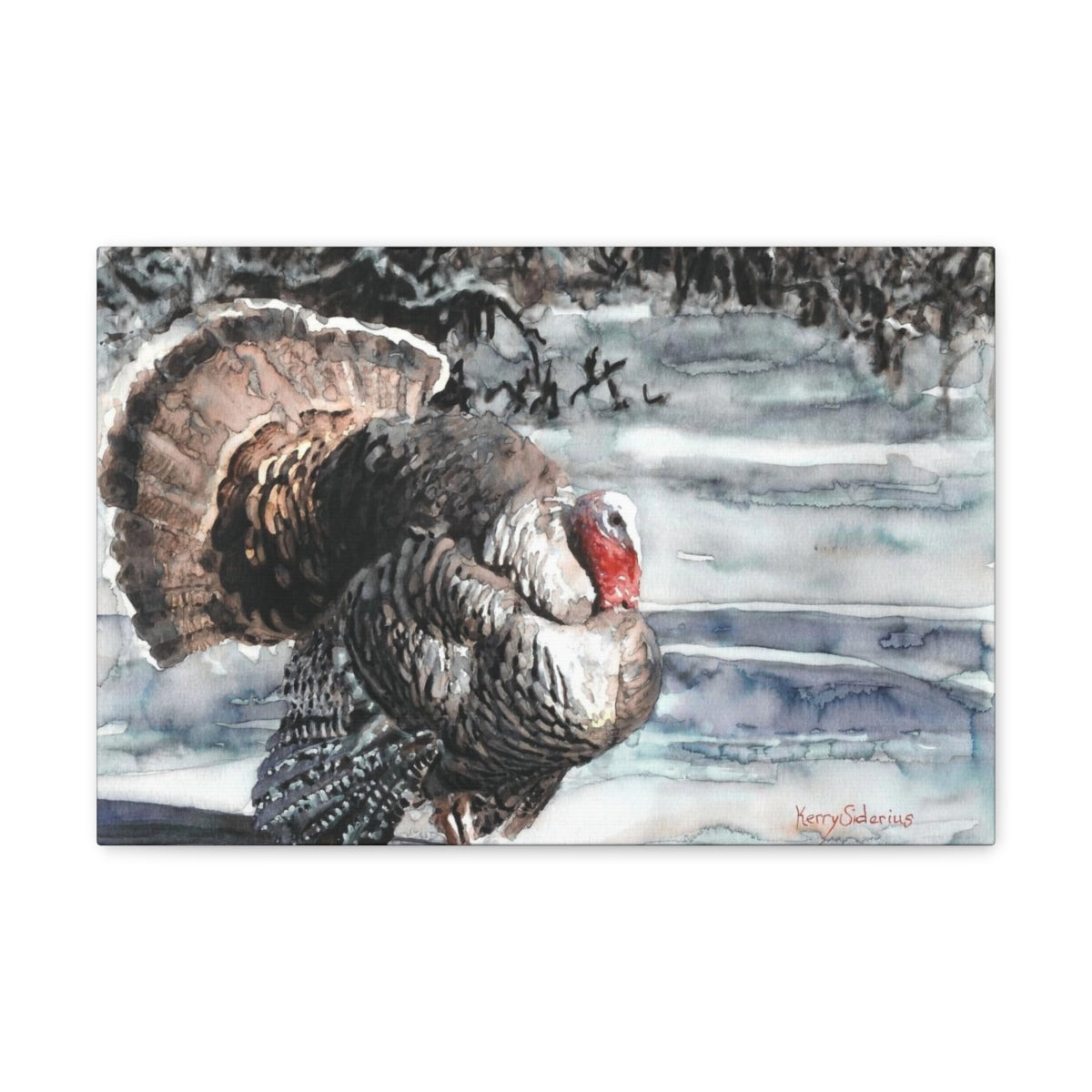 "Wild Turkey in the Snow" Canvas Gallery Wrap - Kerry Siderius Art