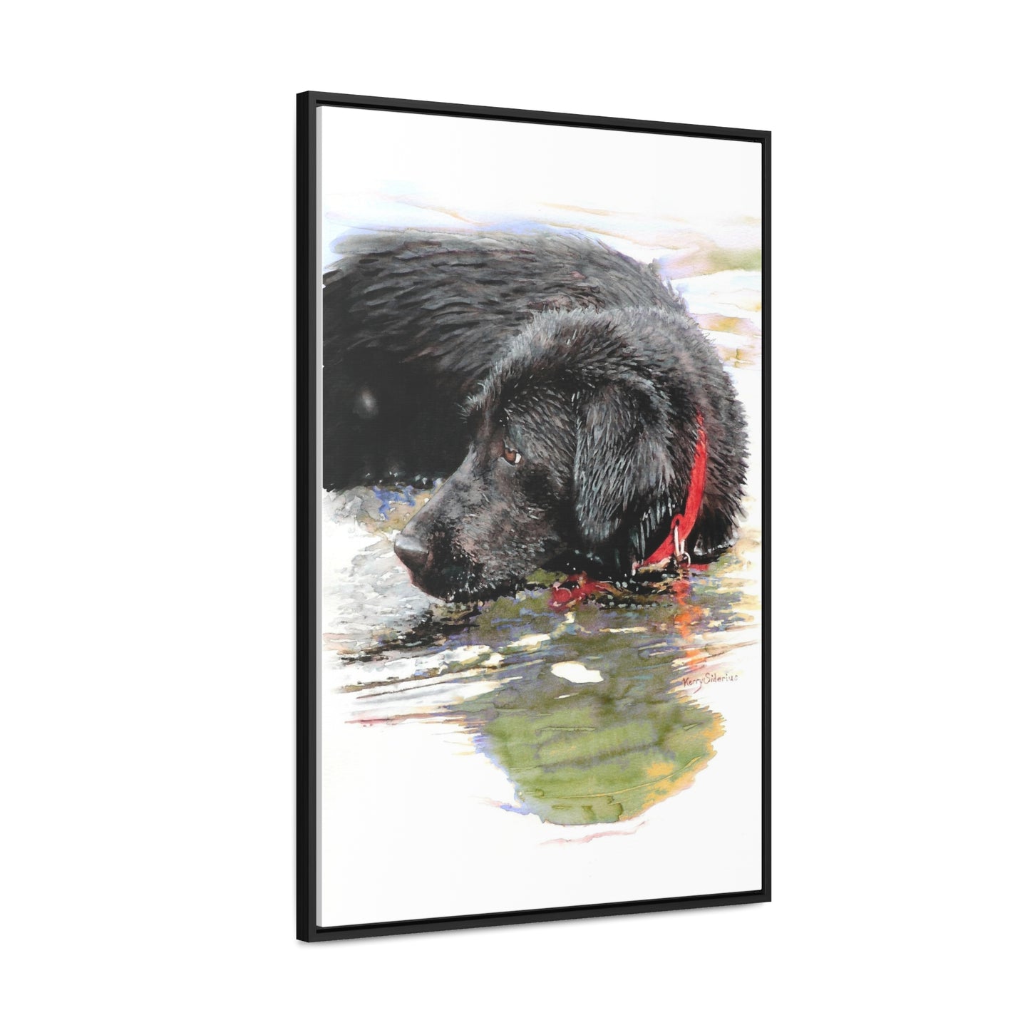 "Fishing and Fetching Black Lab, Chelan" Framed Gallery Wrapped Canvas - Kerry Siderius Art
