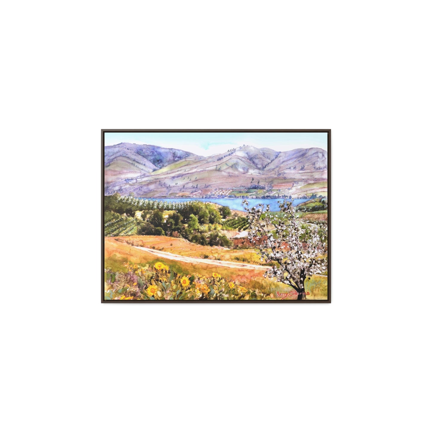 "Springtime Above Lake Chelan from Winesap Road" Wood-Framed Gallery Wrapped Canvas - Kerry Siderius Art