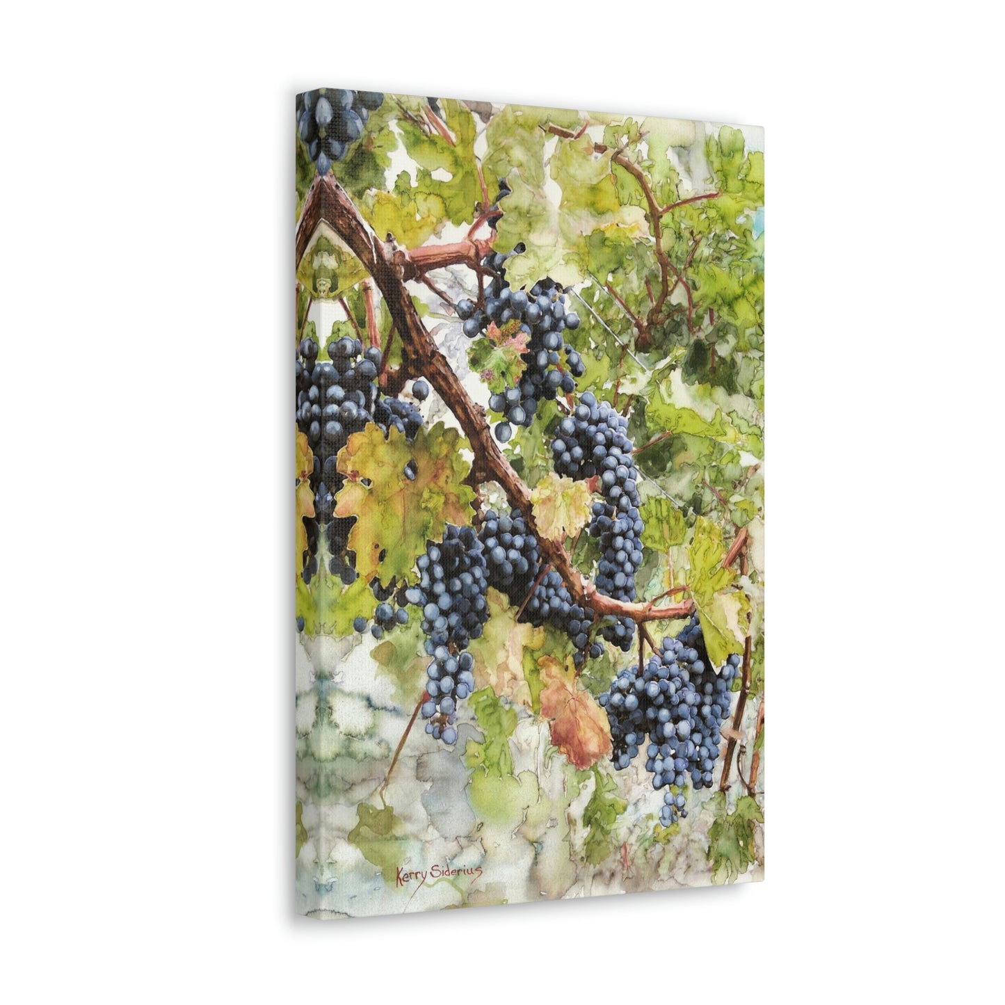 "Walking Through The Vines" Gallery Wrapped Canvas - Kerry Siderius Art