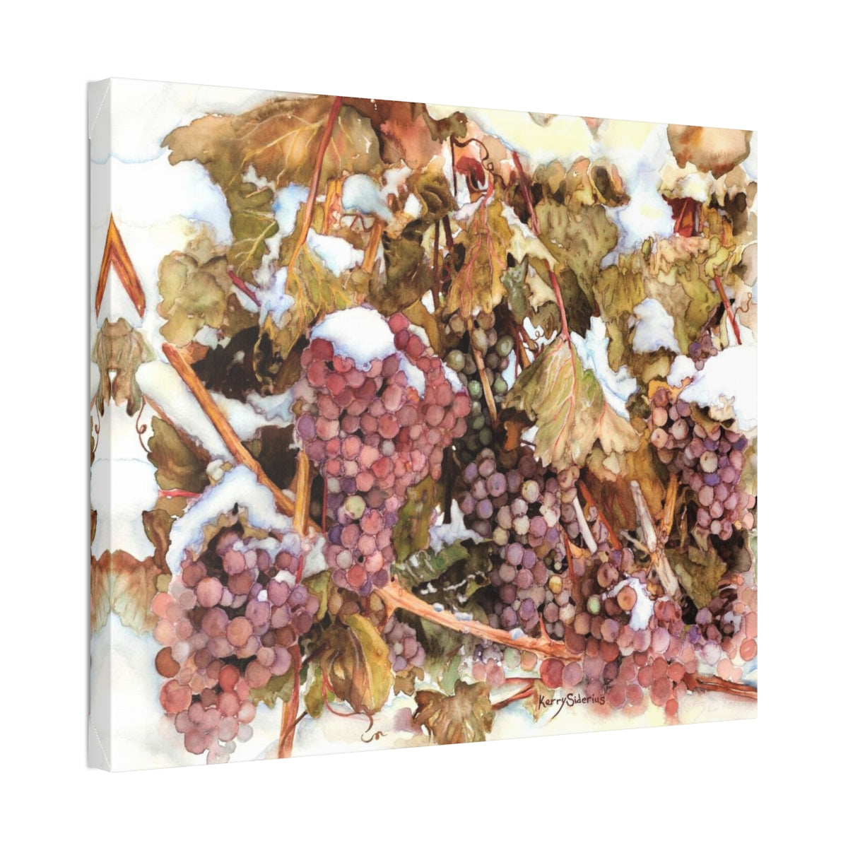 "Snowy Grapes in Chelan" Canvas (6 Sizes Available) - Kerry Siderius Art