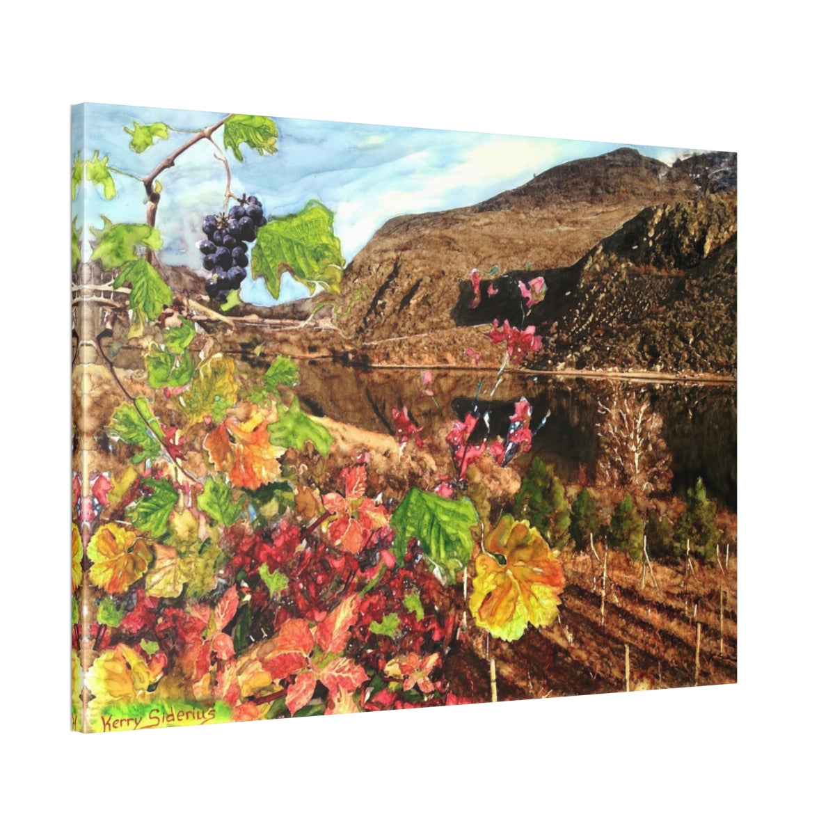 "Last Cluster of Grapes with Columbia Reflection" Canvas Stretched, 1.5'' - Kerry Siderius Art