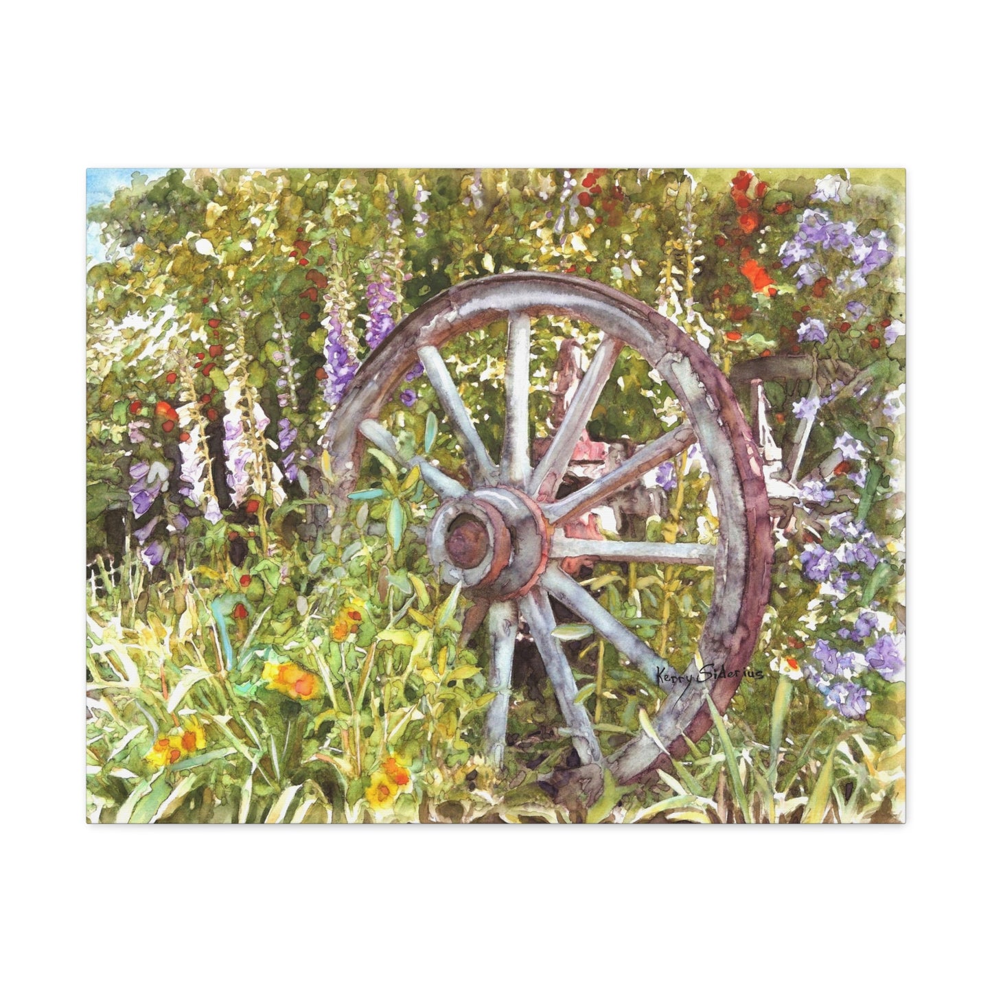 "Wagon Wheel" Gallery Wrapped Canvas - Kerry Siderius Art