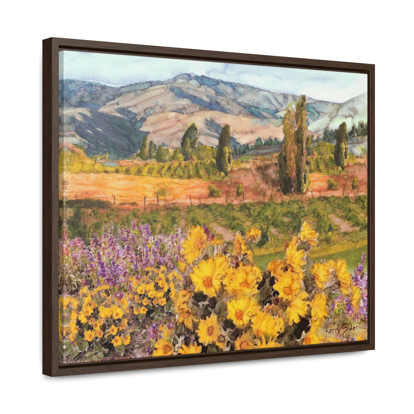 "Chelan Vineyard with Balsom" Wood-Framed Gallery Canvas Wrap - Kerry Siderius Art