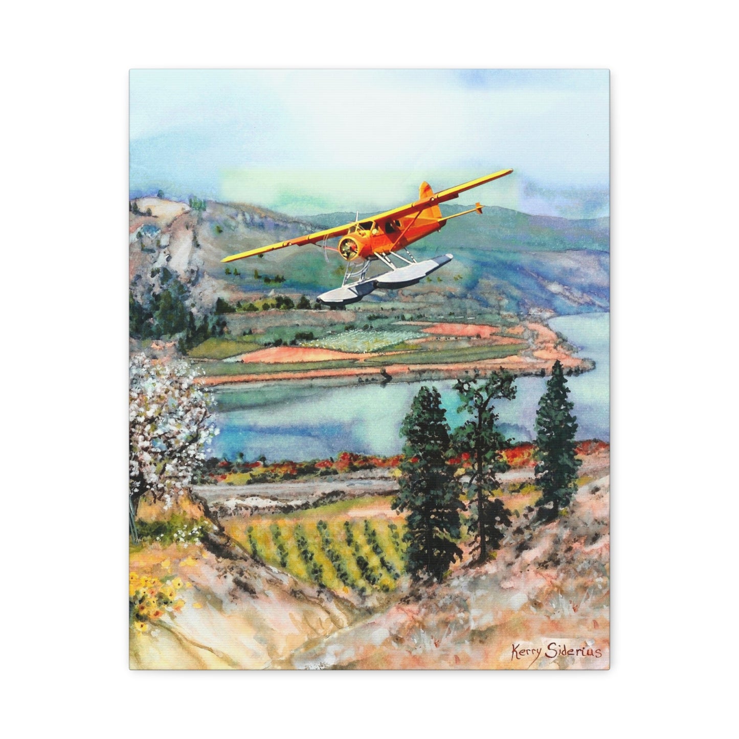 Seaplane Over Vineyard Matte Canvas Print