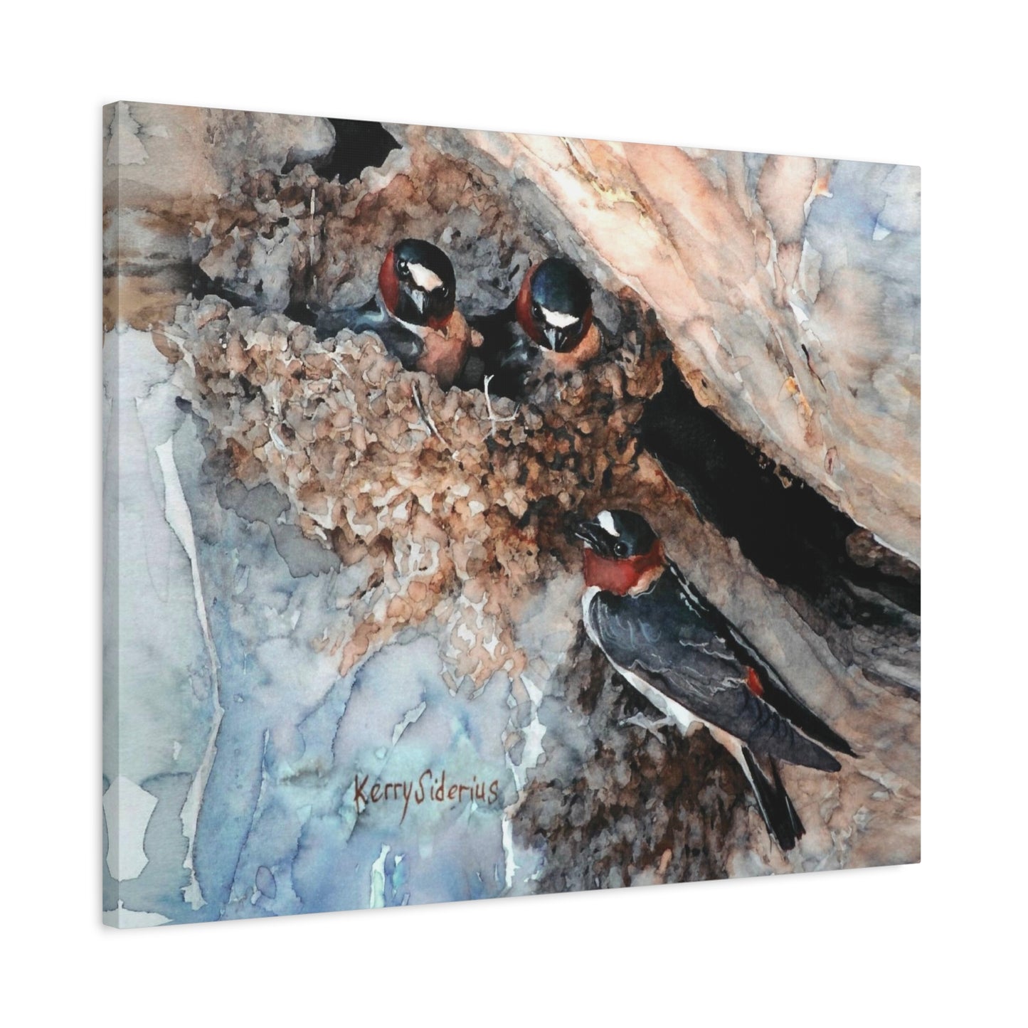 "Swallows in the Cliff, Rufus Woods Lake" Canvas, Stretched, 1.25"