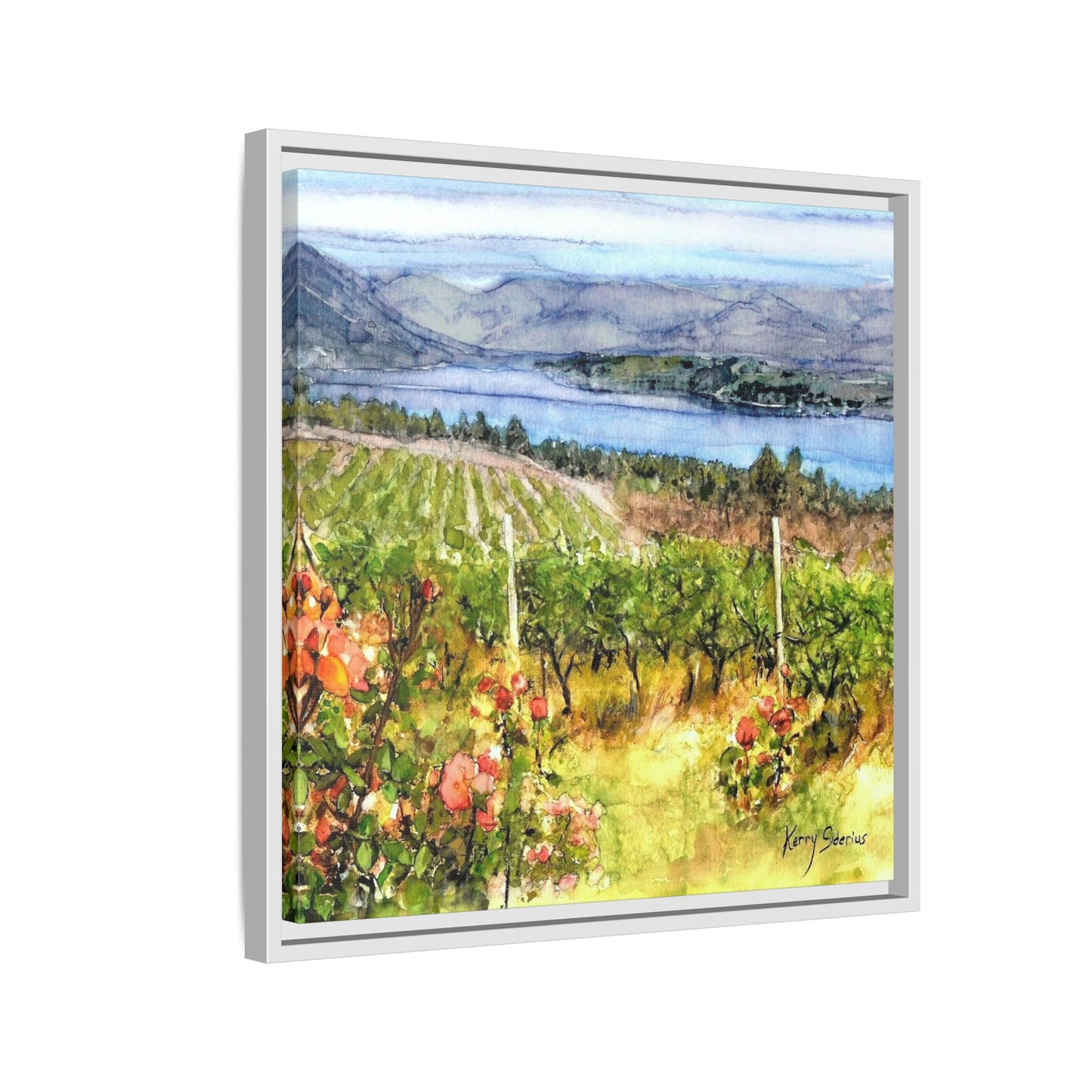 "Lake Chelan Vineyard View From Up Lake"