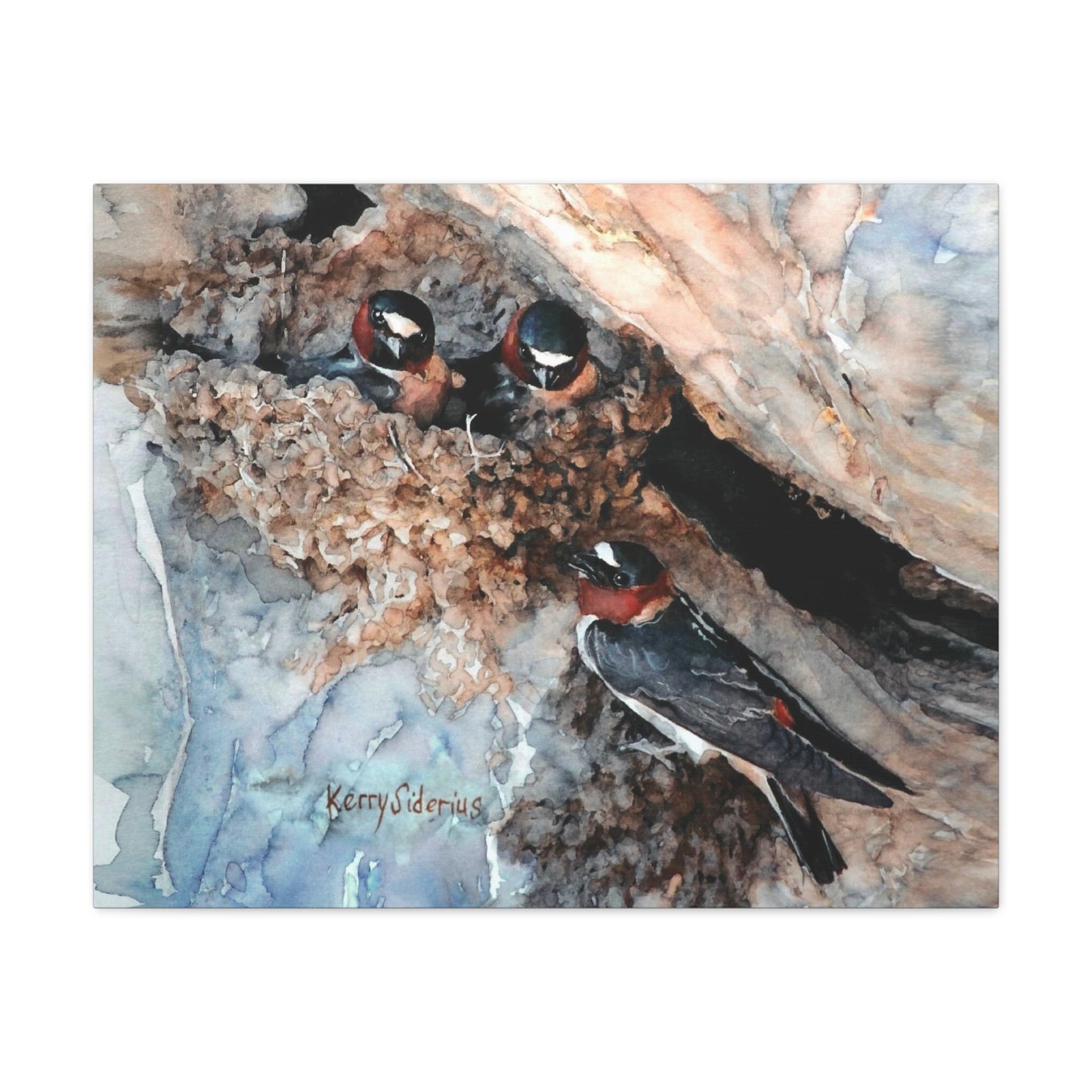 "Swallows in the Cliff, Rufus Woods Lake" Canvas, Stretched, 1.25"