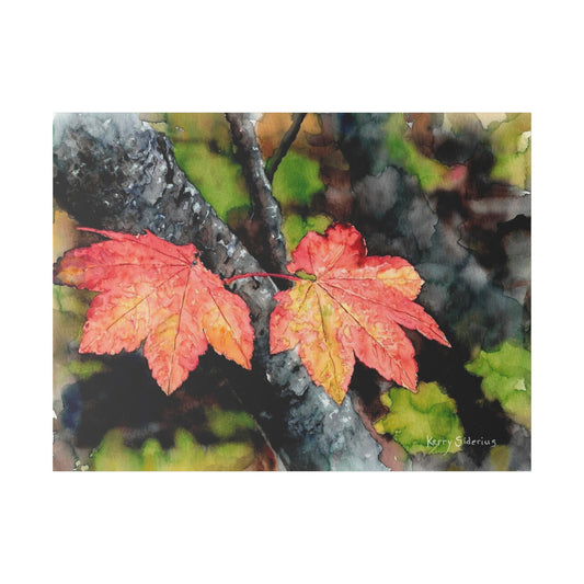 "Maple Leaves, First Sign of Fall, Tumwater Canyon" Canvas, Stretched, 0.75"