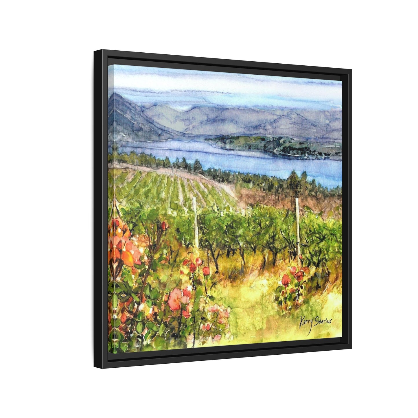 "Lake Chelan Vineyard View From Up Lake"