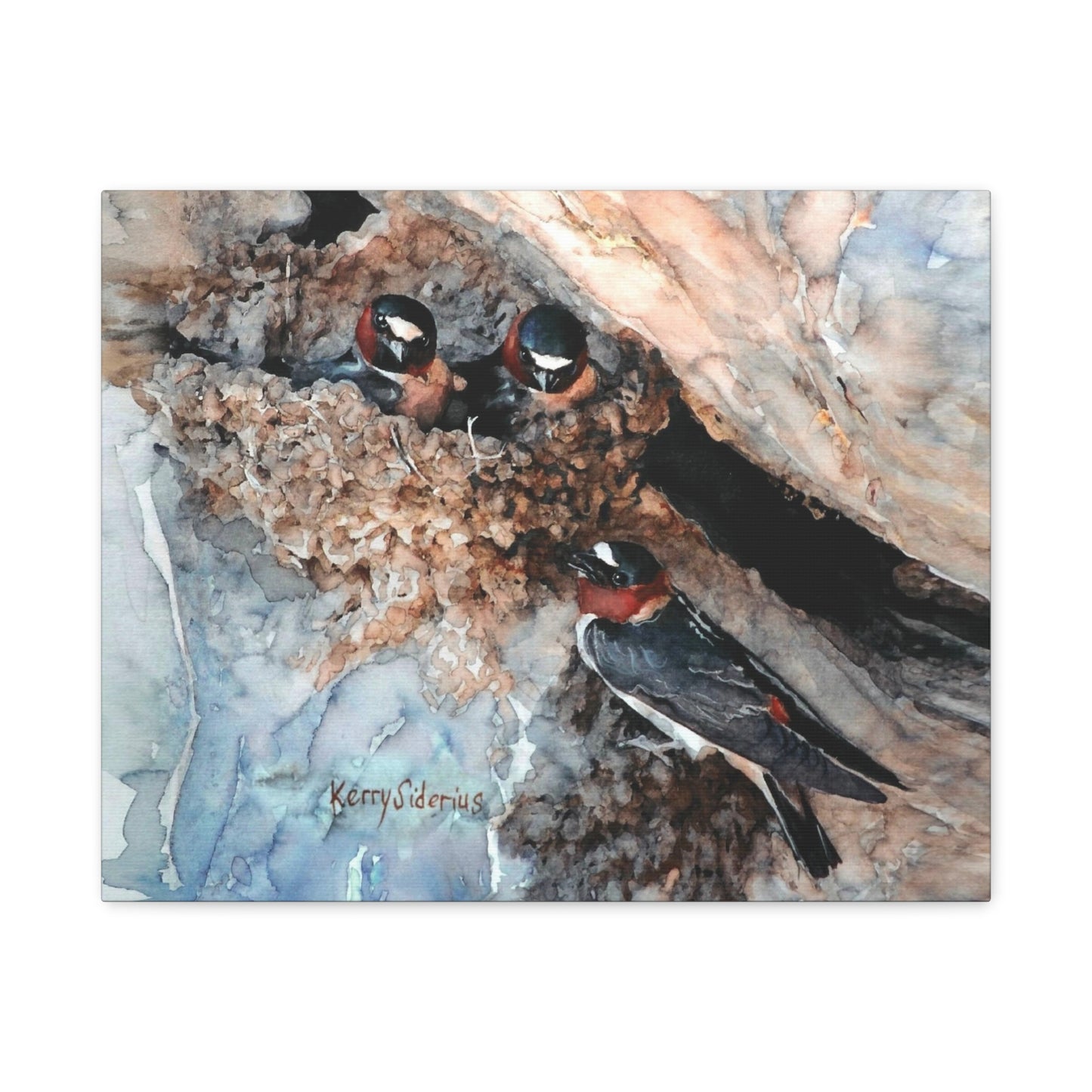 "Swallows in the Cliff, Rufus Woods Lake" Canvas, Stretched, 1.25"