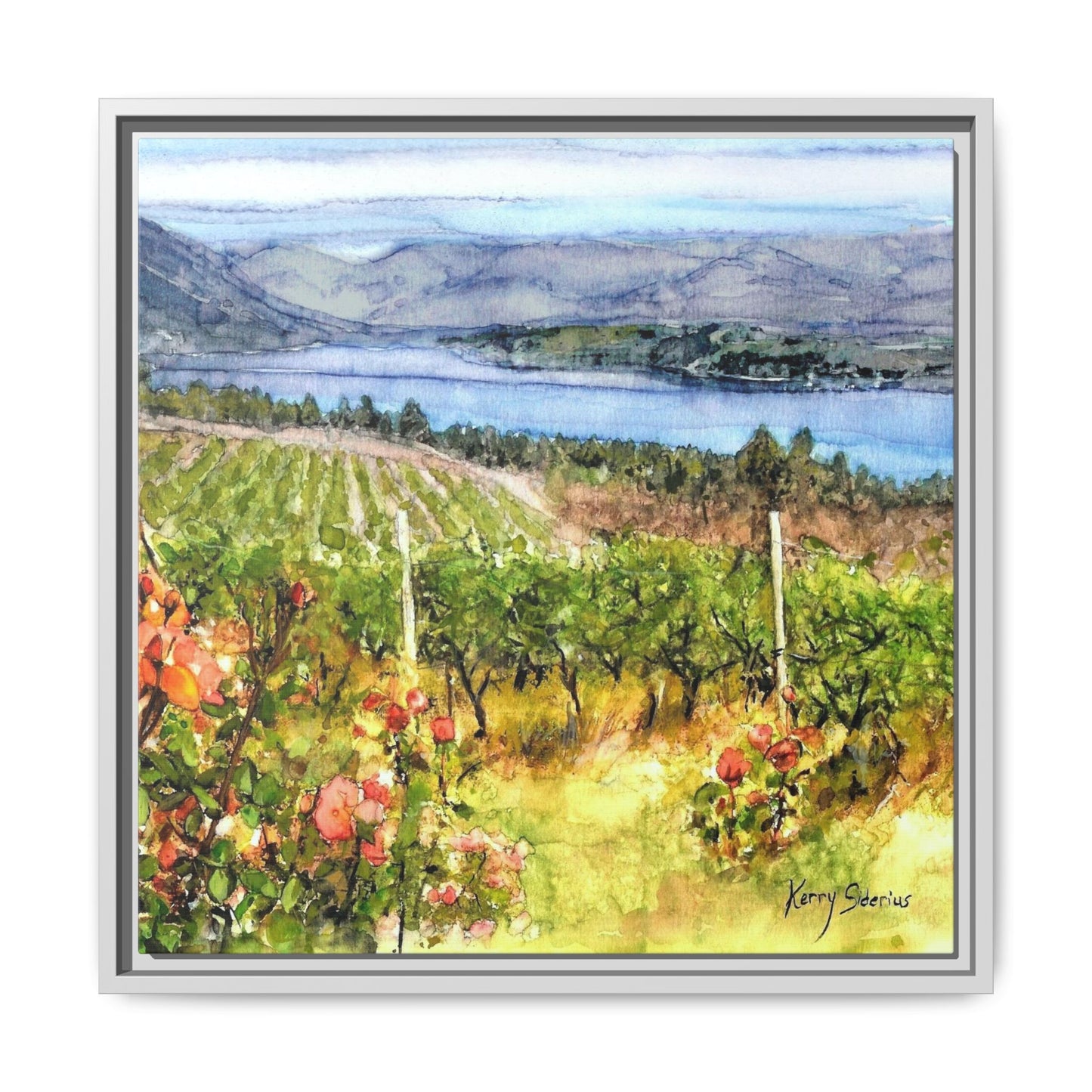 "Lake Chelan Vineyard View From Up Lake"