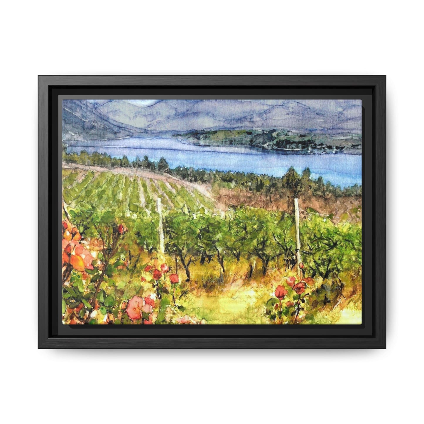 "Lake Chelan Vineyard View From Up Lake"