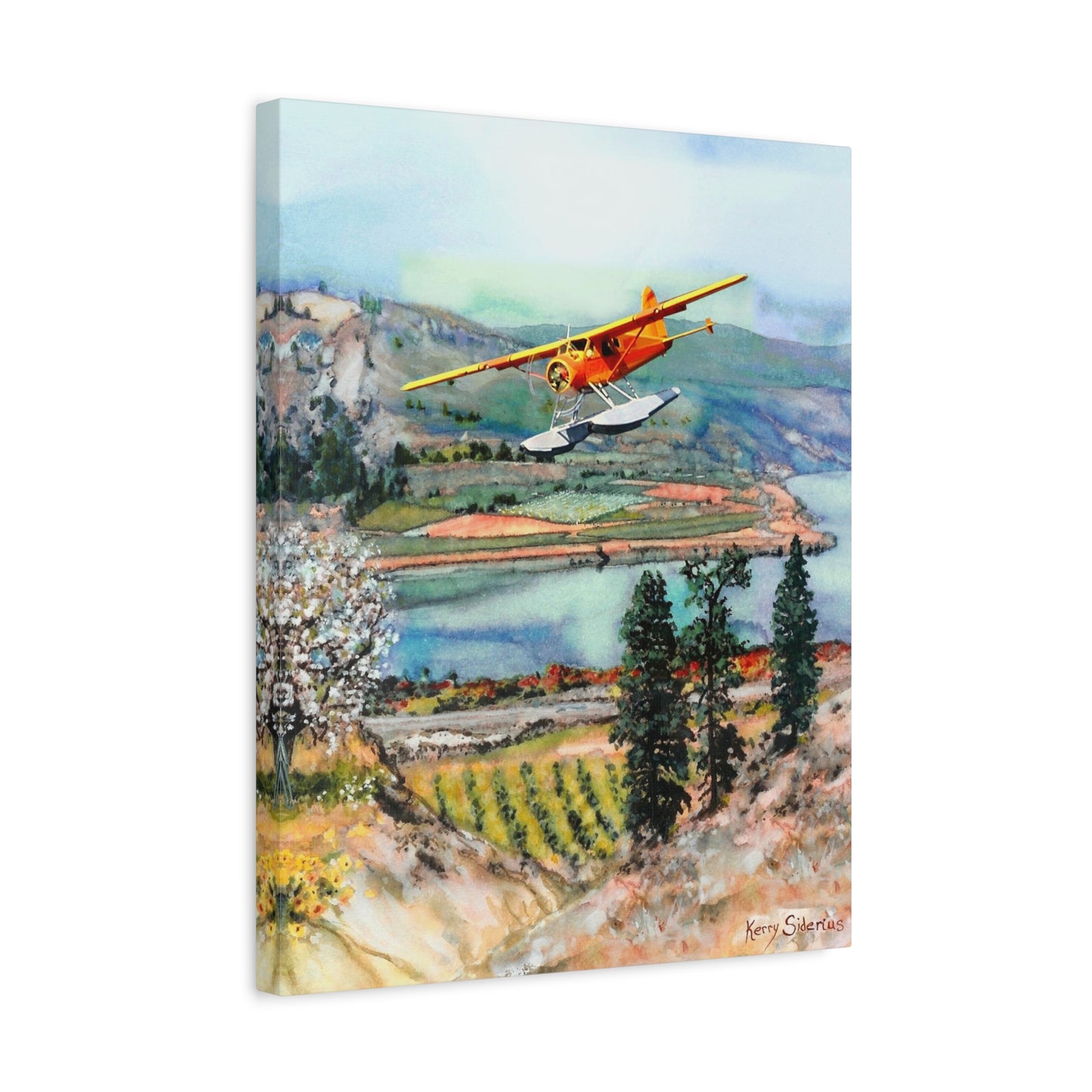 Seaplane Over Vineyard Matte Canvas Print