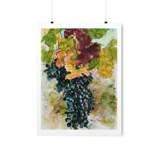 "Pinot Grape Cluster with Red Leaf" Matte Poster Print - Kerry Siderius Art 