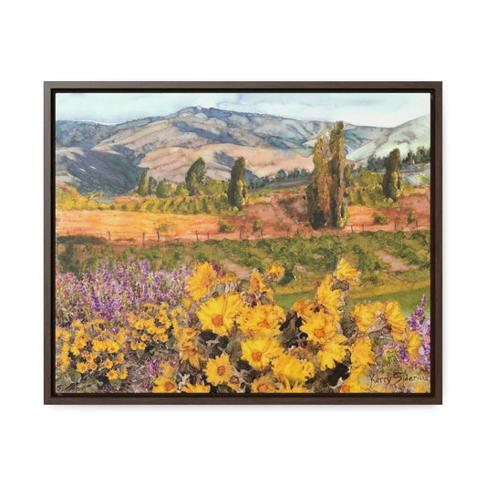 "Chelan Vineyard with Balsom" Wood-Framed Gallery Canvas Wrap - Kerry Siderius Art 