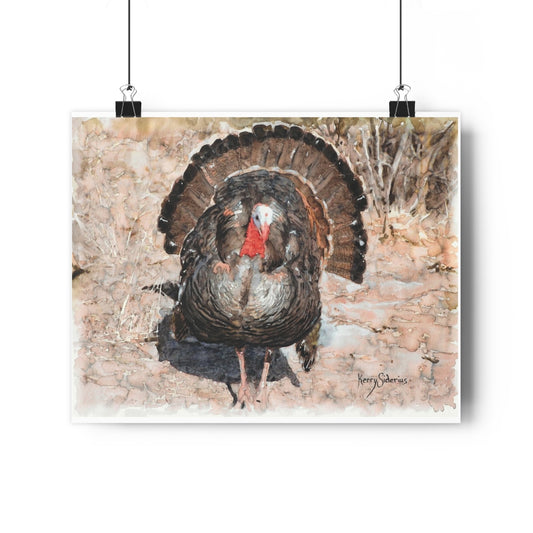 "Wild Turkey Up By Lake Wenatchee" on Archival Poster Print - Kerry Siderius Art 